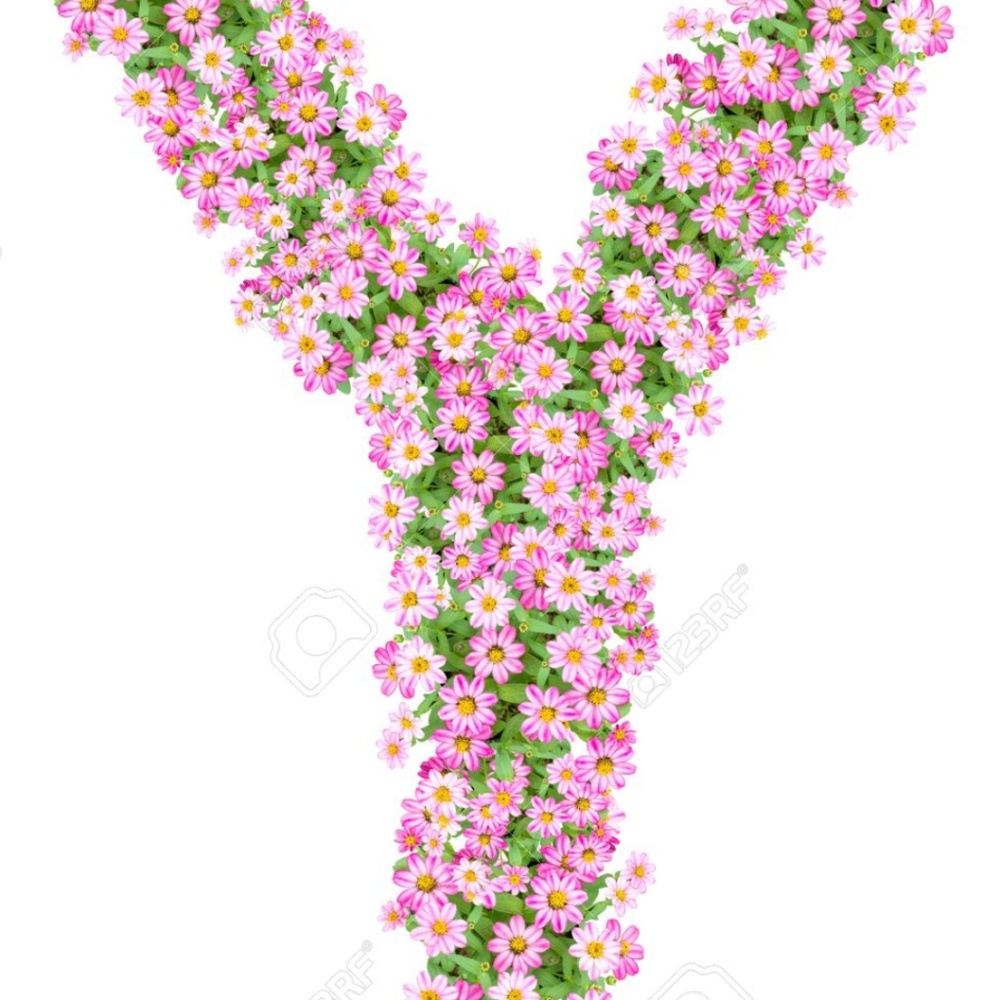 Meet your Posher, Yolanda